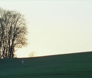 Nina Hoss naked – Das Herz Ist Ein Dunkler Wald (2007)
